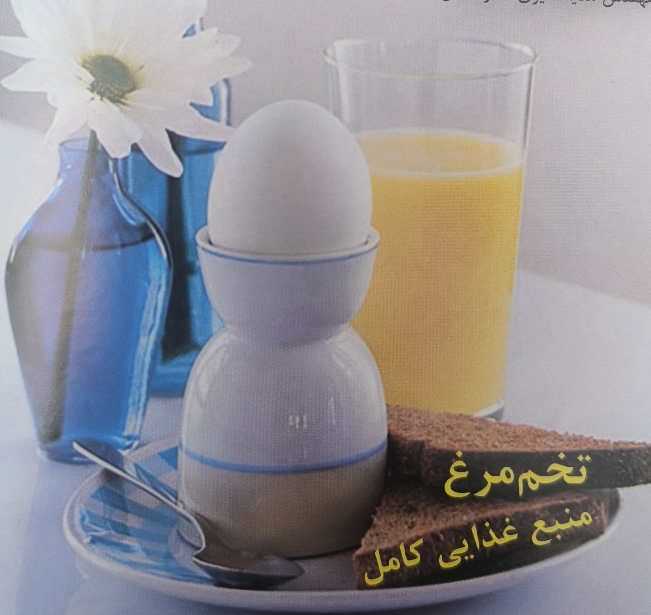 تخم مرغ منبع غذایی کامل